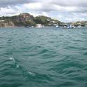 IMG_0020 (2)